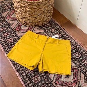 Ann Taylor Twill Shorts with 5” Inseam